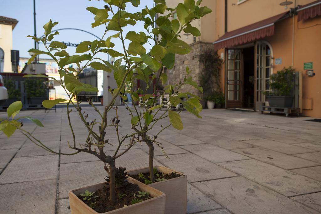 Albergo Al Cacciatore Tortellinando Valeggio sul Mincio Exteriér fotografie